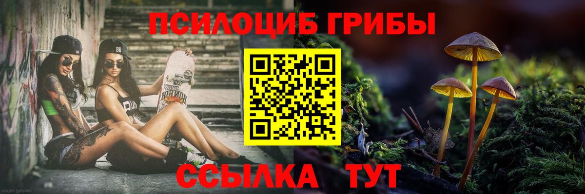 Псилоцибиновые грибы прущие грибы Касимов